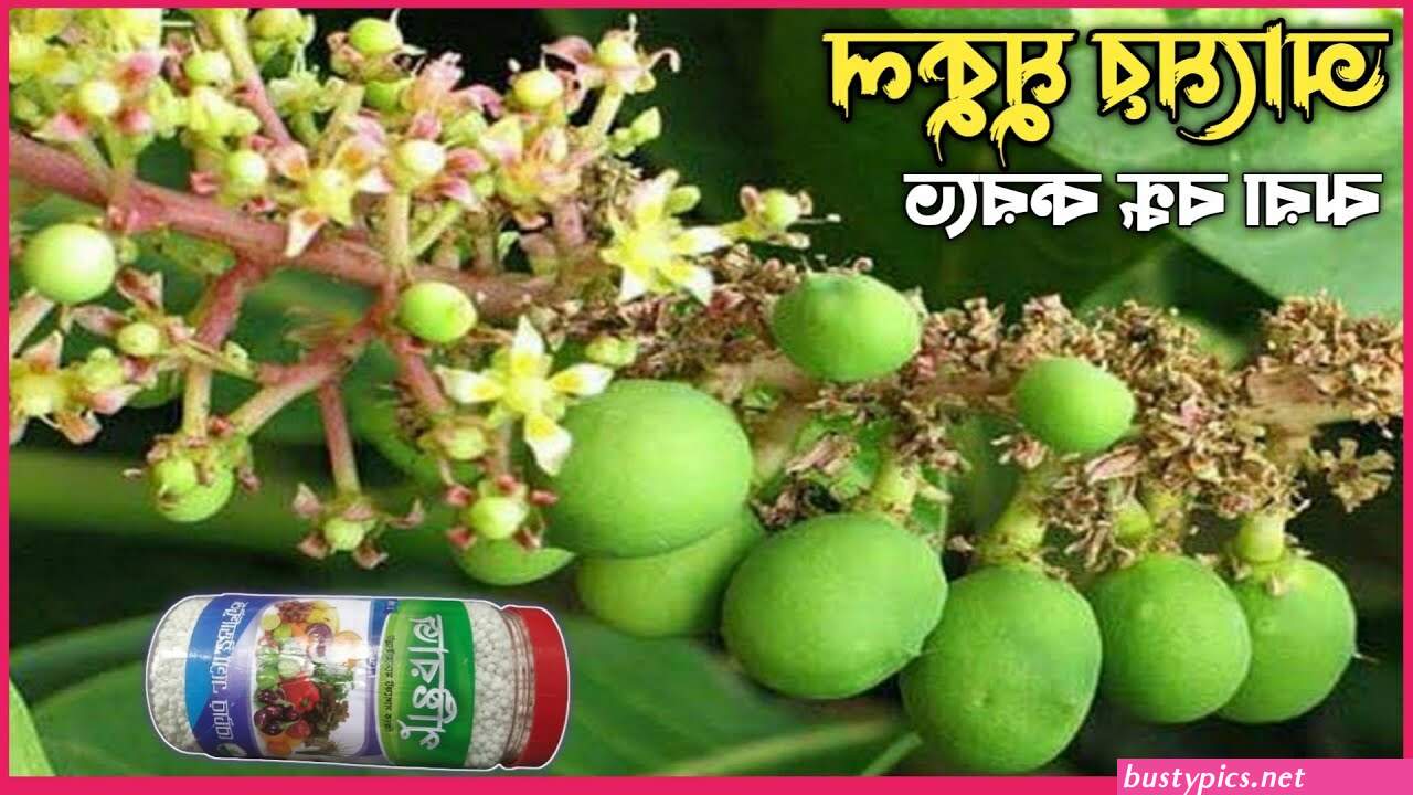 ব গ আস আন ট র প ক
