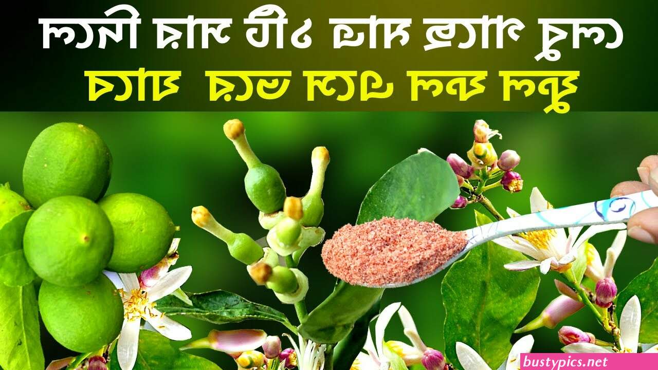 ব গ আস আন ট র প ক