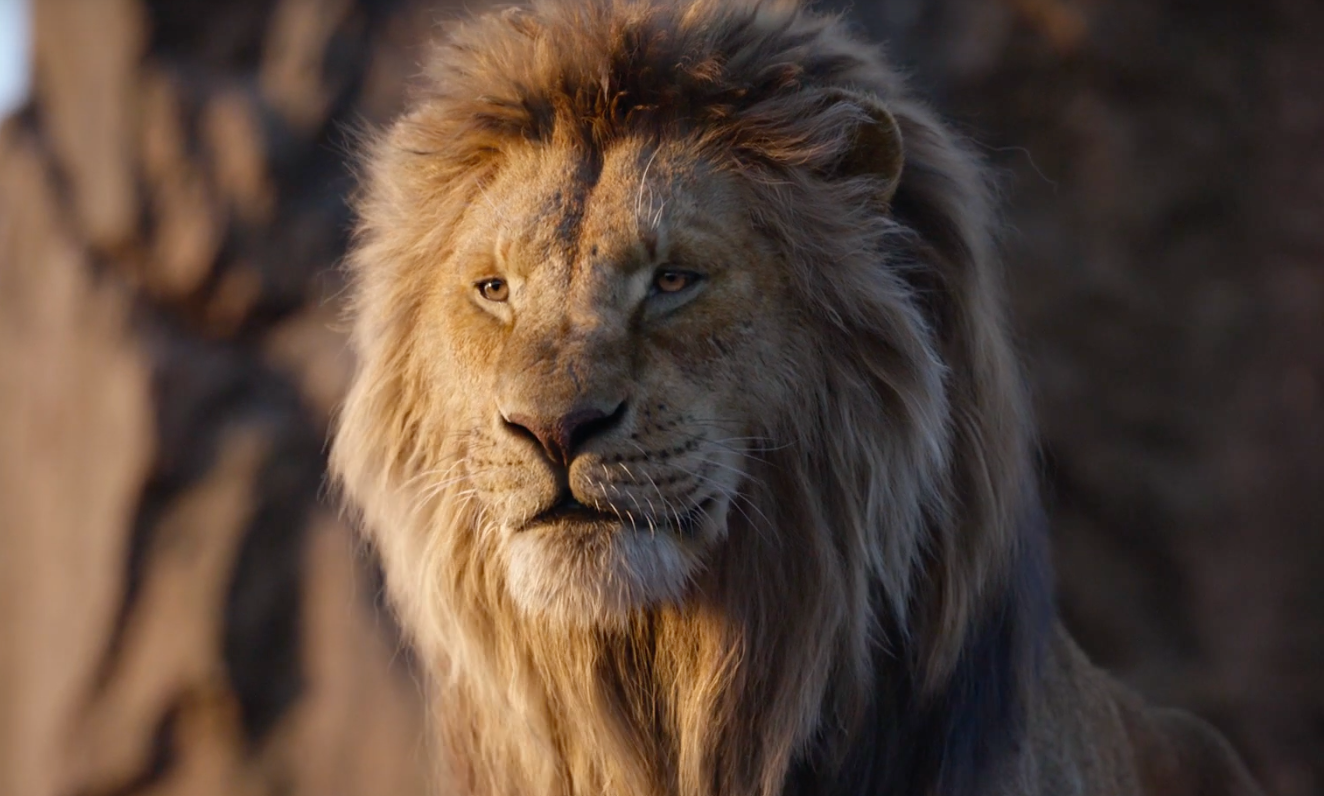 timon fuck nala story