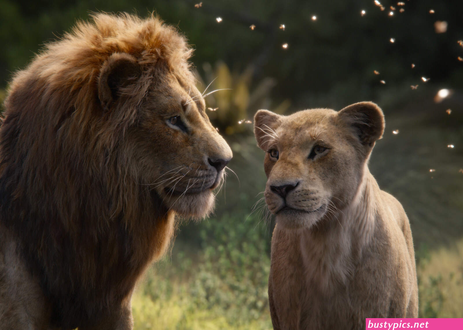 timon fuck nala story