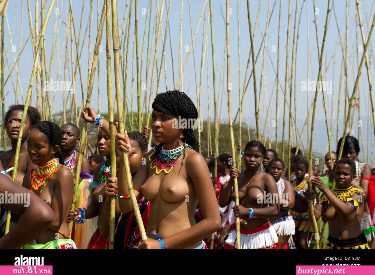 zulu reed dance xxx