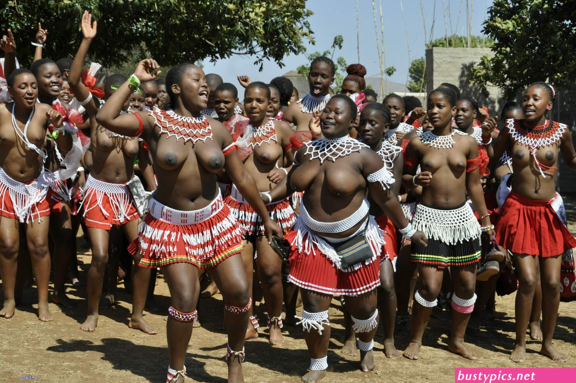 zulu reed dance xxx