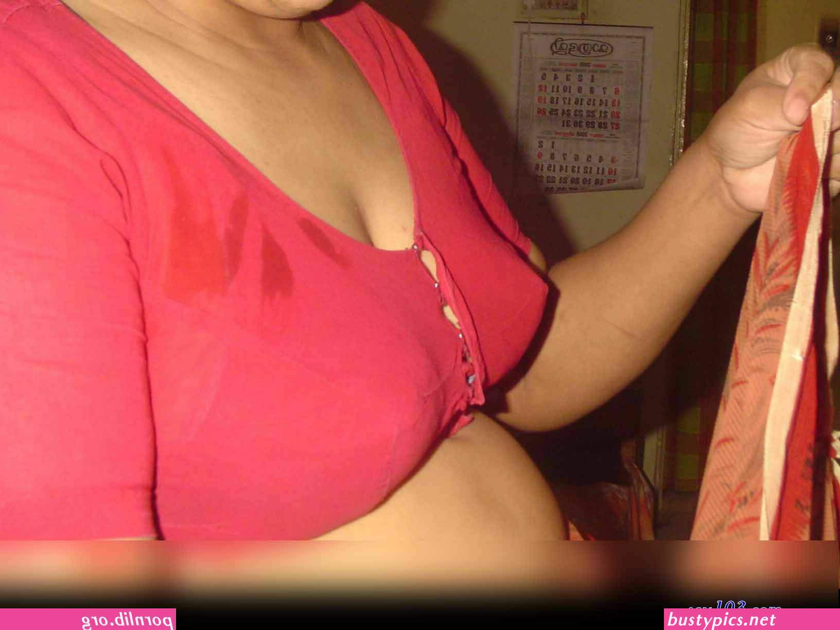 aunty saree blouse big boobs images hd