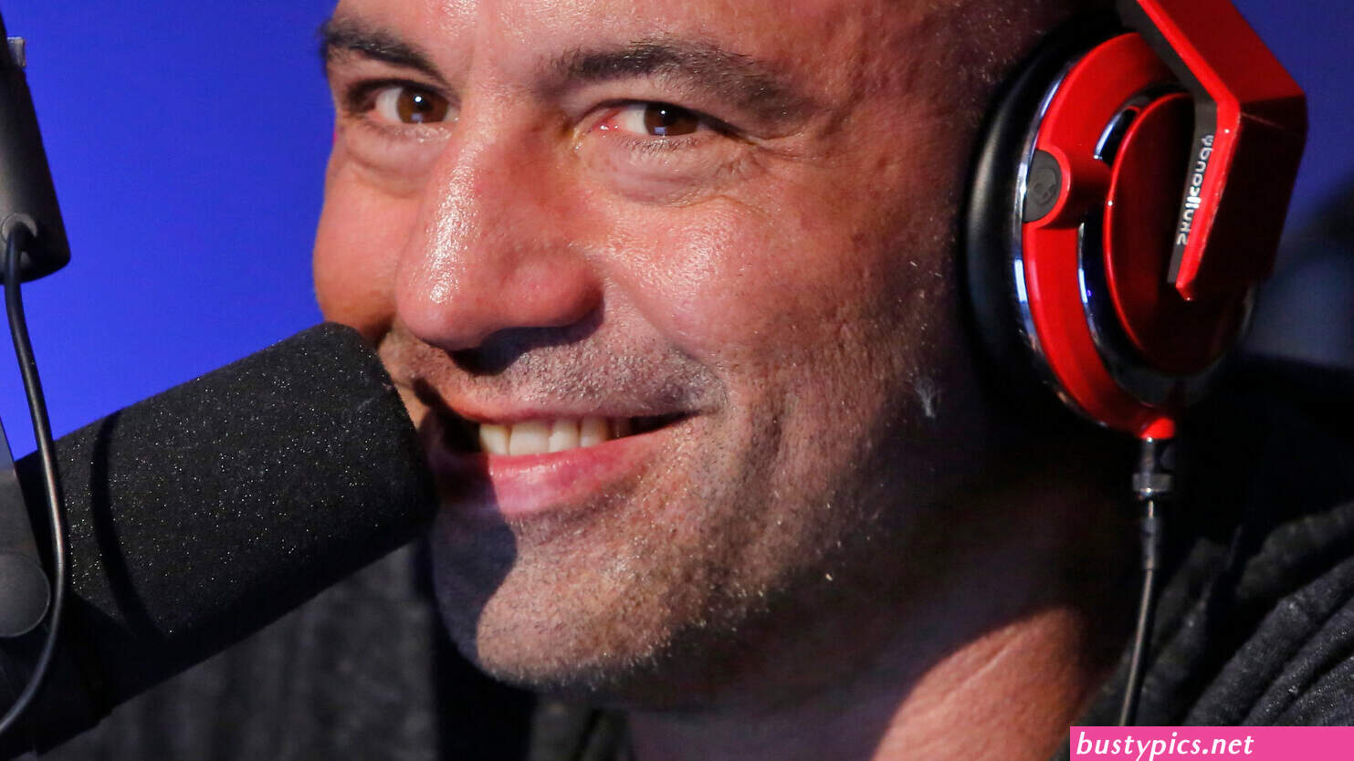 https://fsociety.blue/johnny-sins-onlyfans.html
