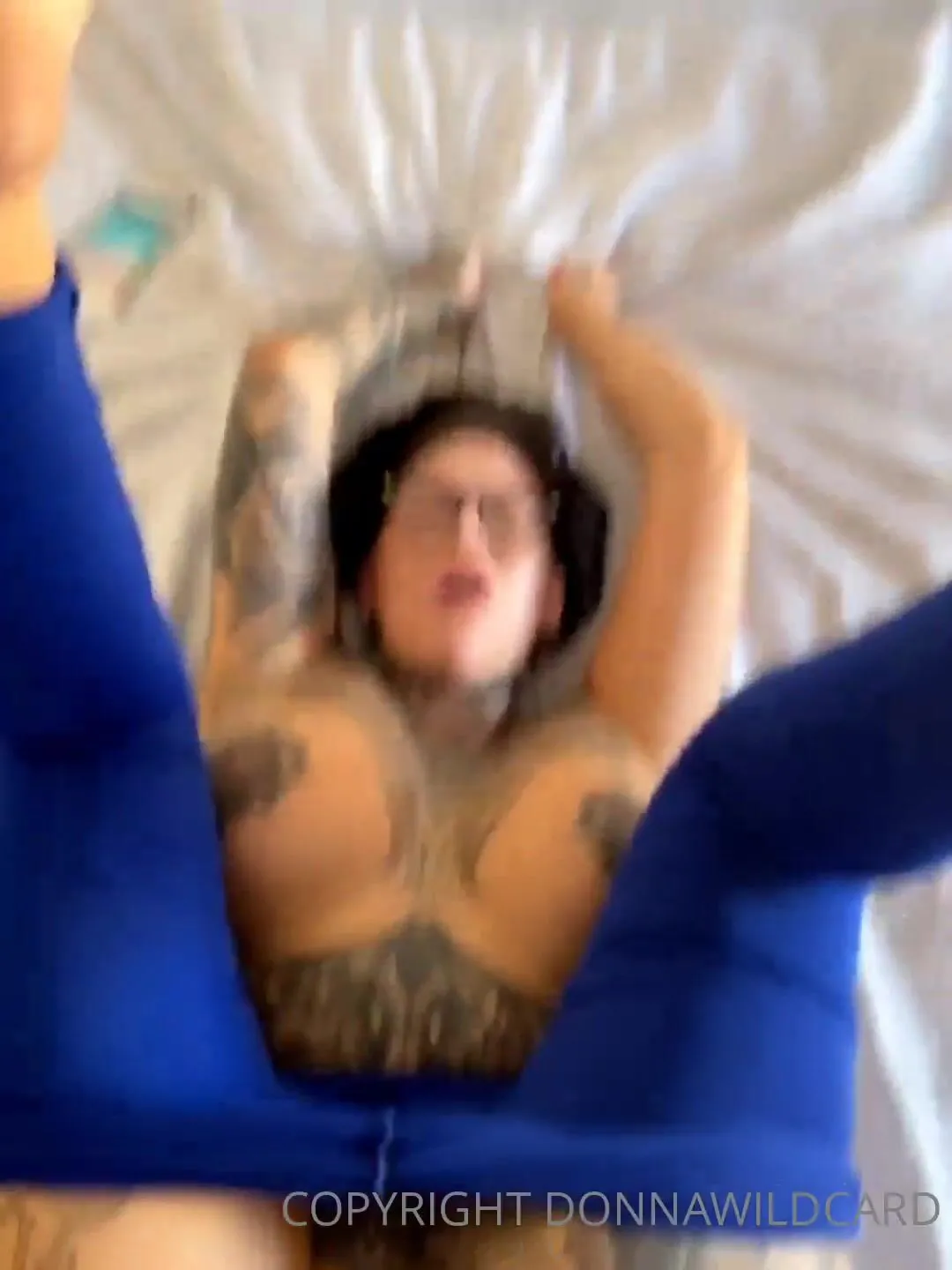 donna wildcard xxx free