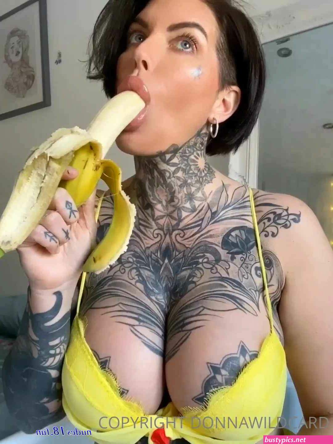 donna wildcard xxx free