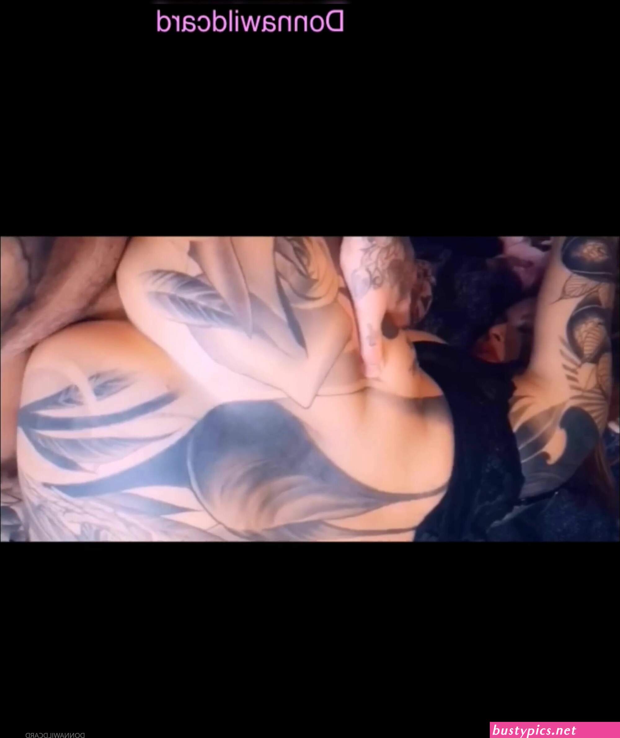 donna wildcard xxx free