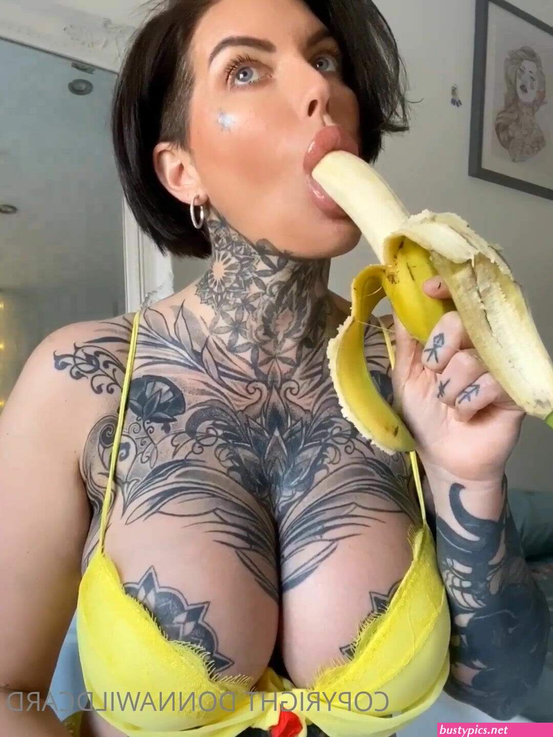 donna wildcard xxx free
