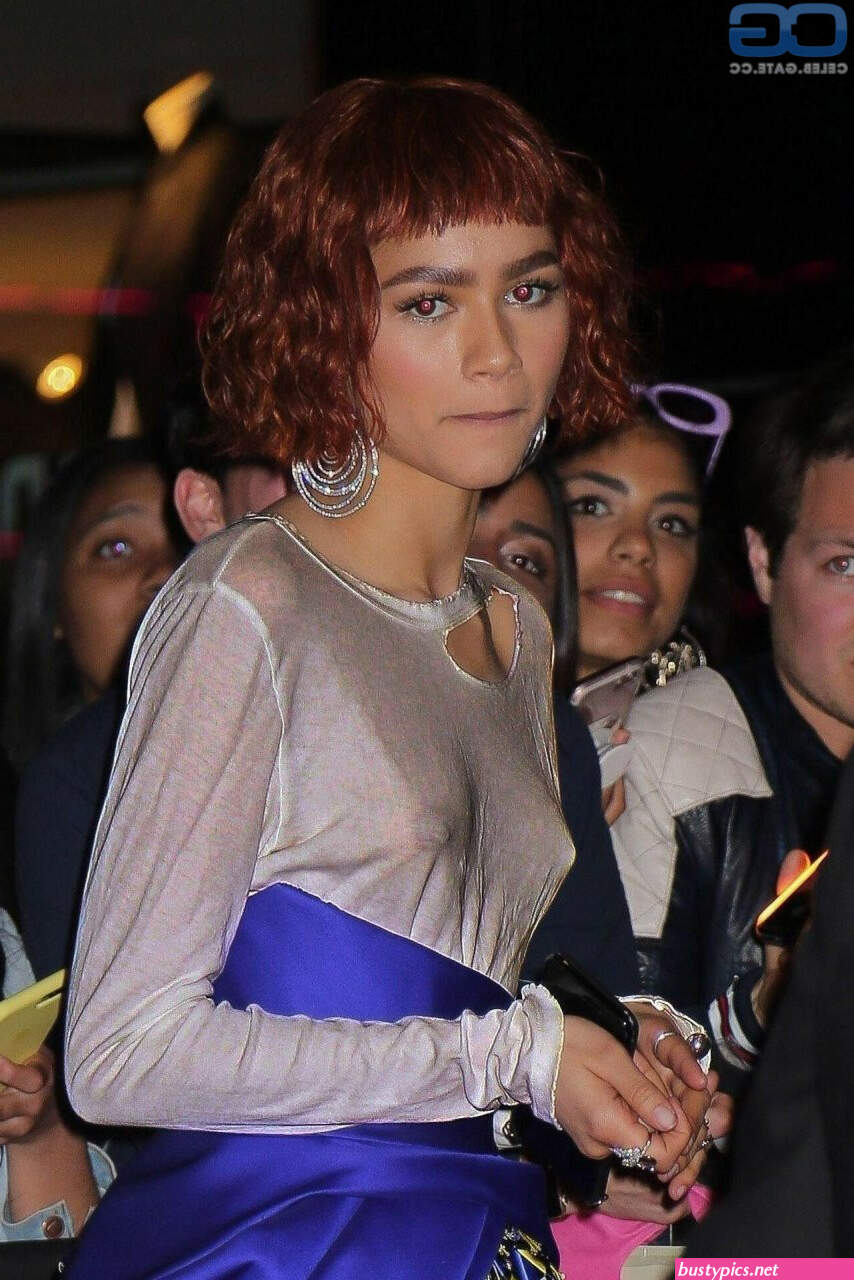 https://wanderlust.care/zendaya-coleman/gallery.html