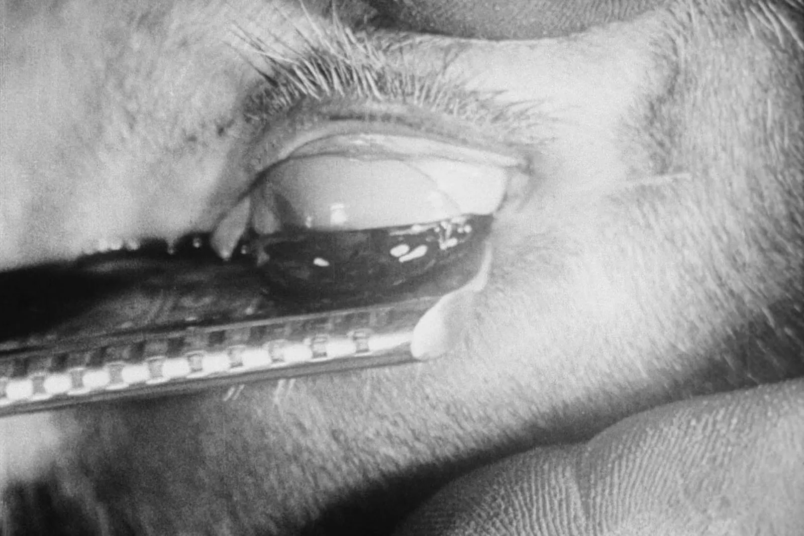 sleep dick mouth