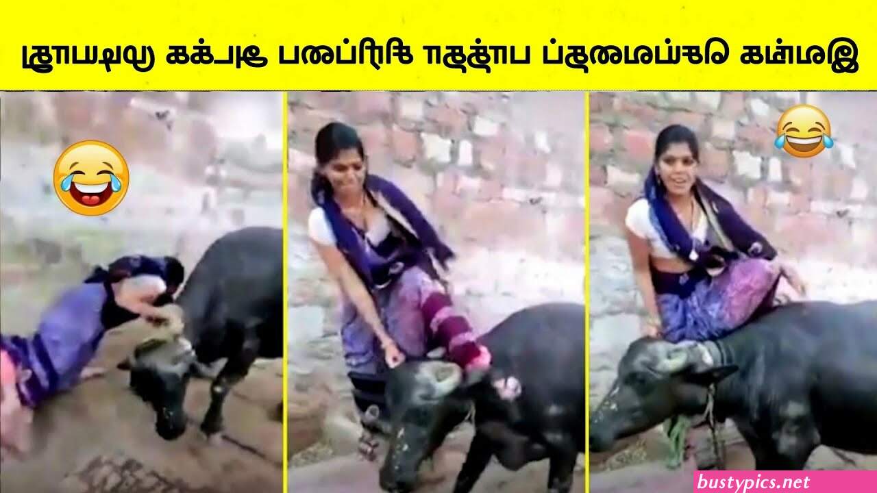 க ரள ம ல