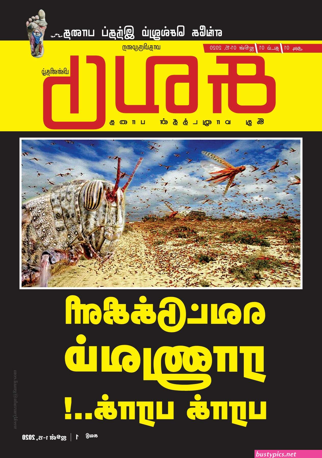 க ரள ம ல