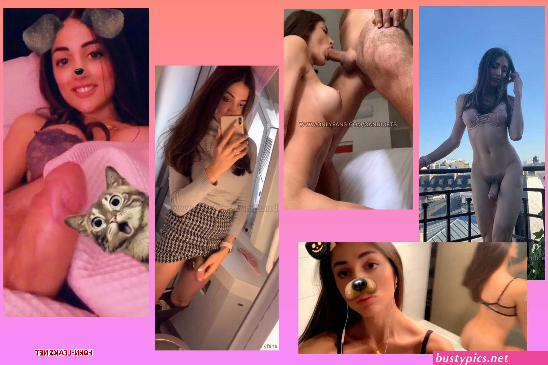free porn ts onlyfans