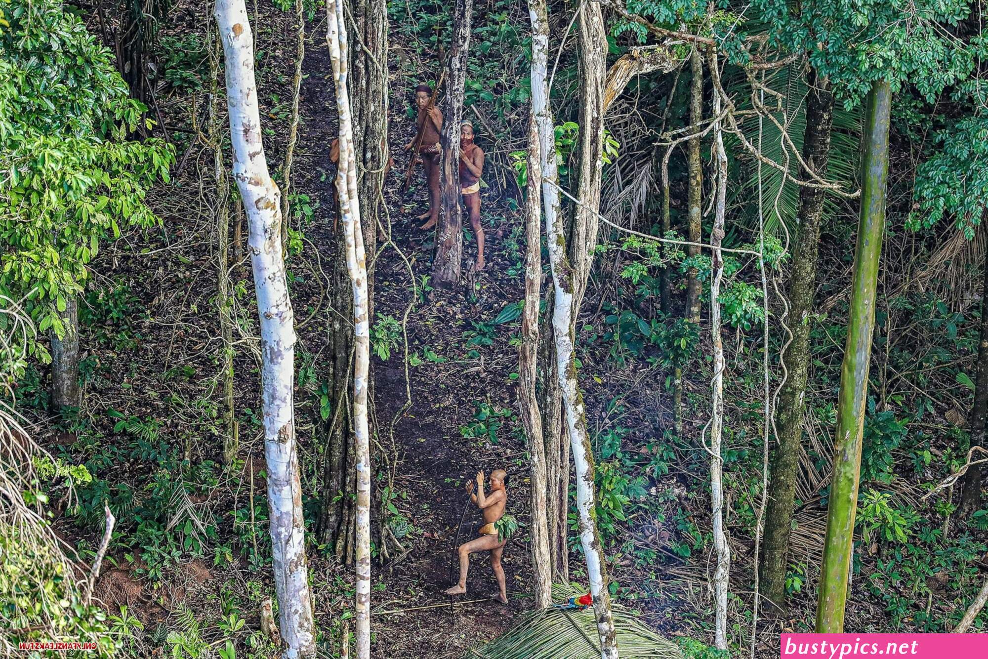 very tiny tits from naked amazon tribe pic