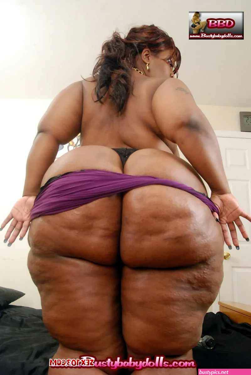 ssbbw.asses