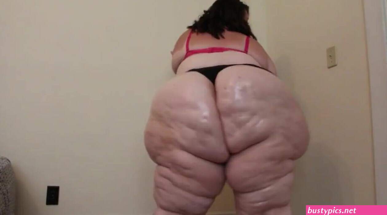 ssbbw.asses