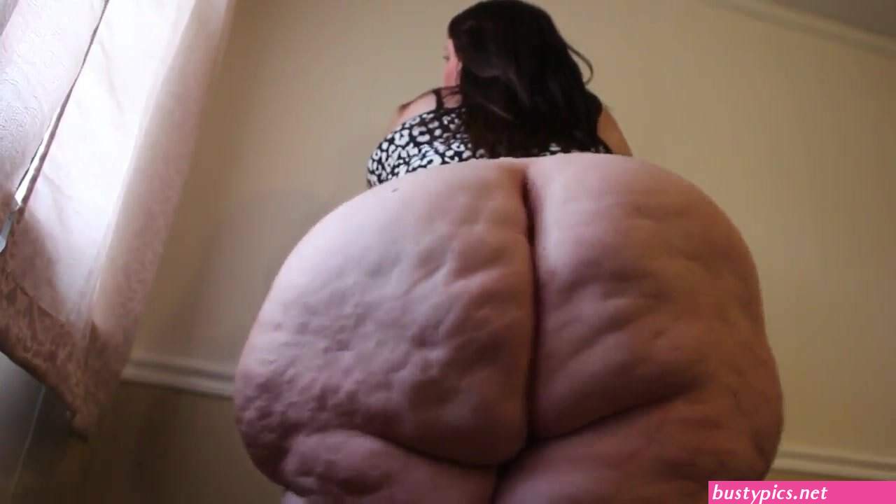ssbbw.asses