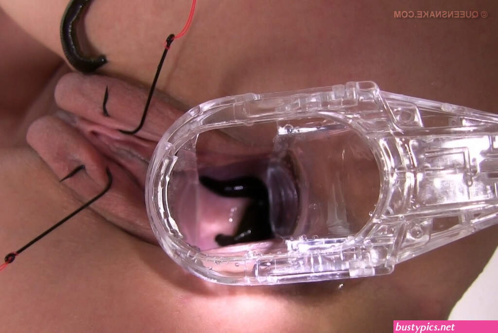 worm insert pussy