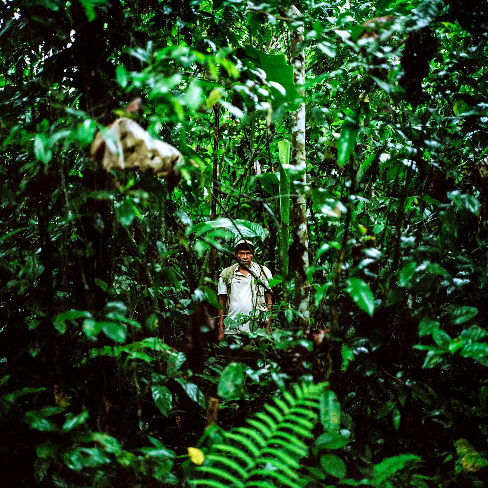amazon forest naked tits wemen