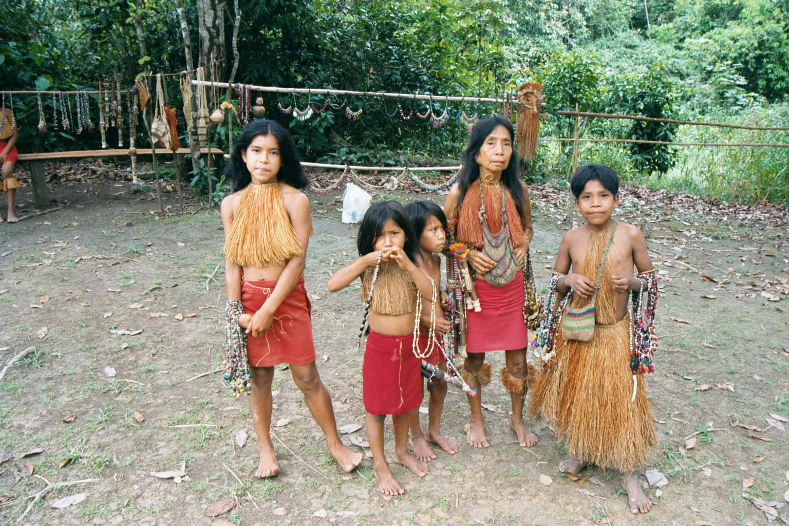 amazon forest naked tits wemen