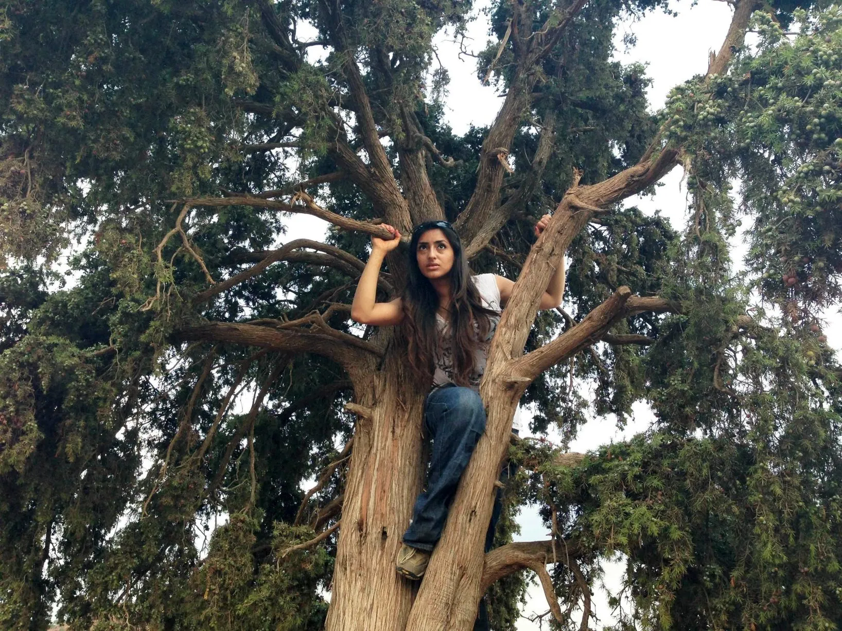 amazon forest naked tits wemen