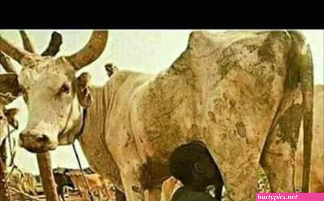 fula sex