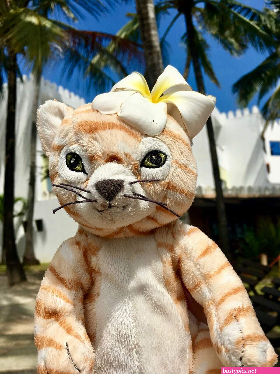 nombasa pussy photo
