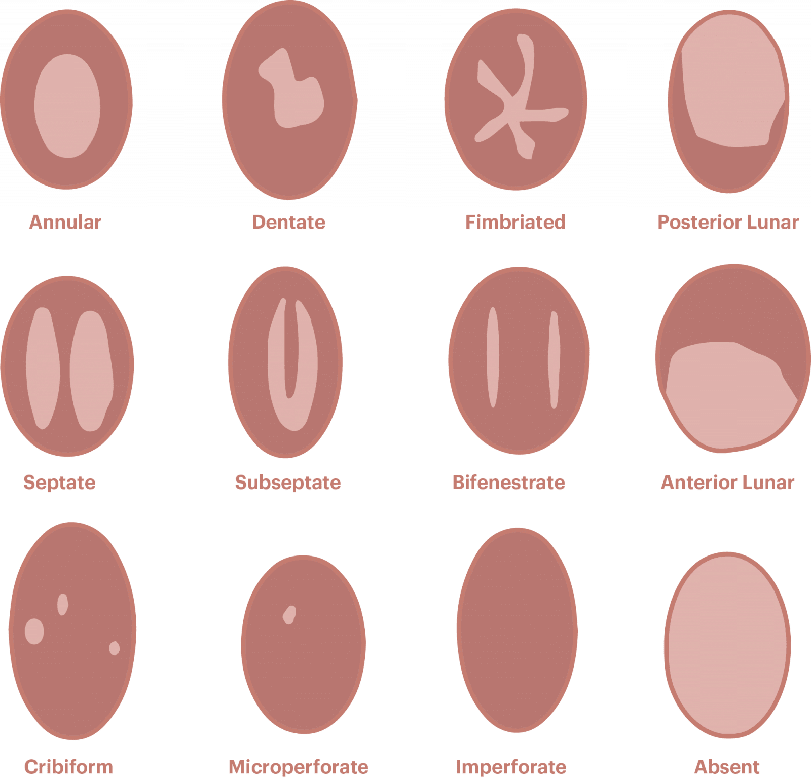 before and after sex pussy