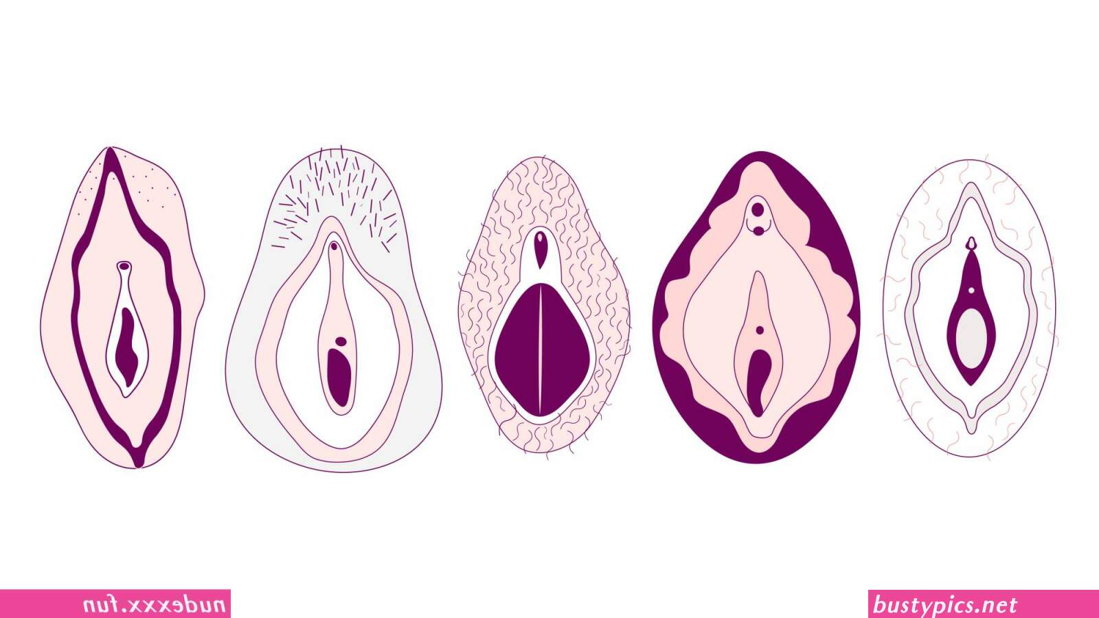 mboo vs pussy sizes