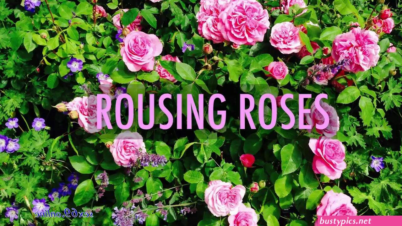 indian rose webcam video