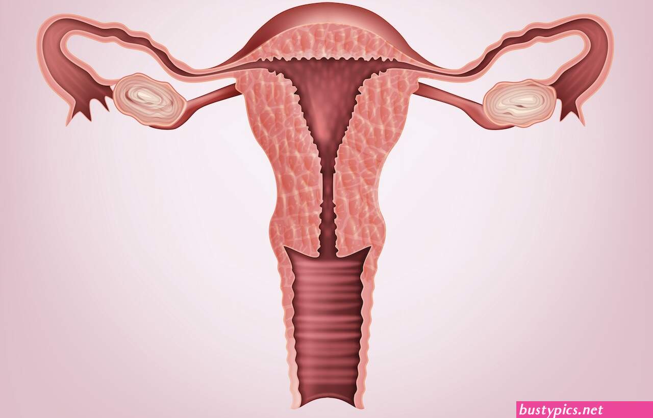 keniya girls small vagina picture details