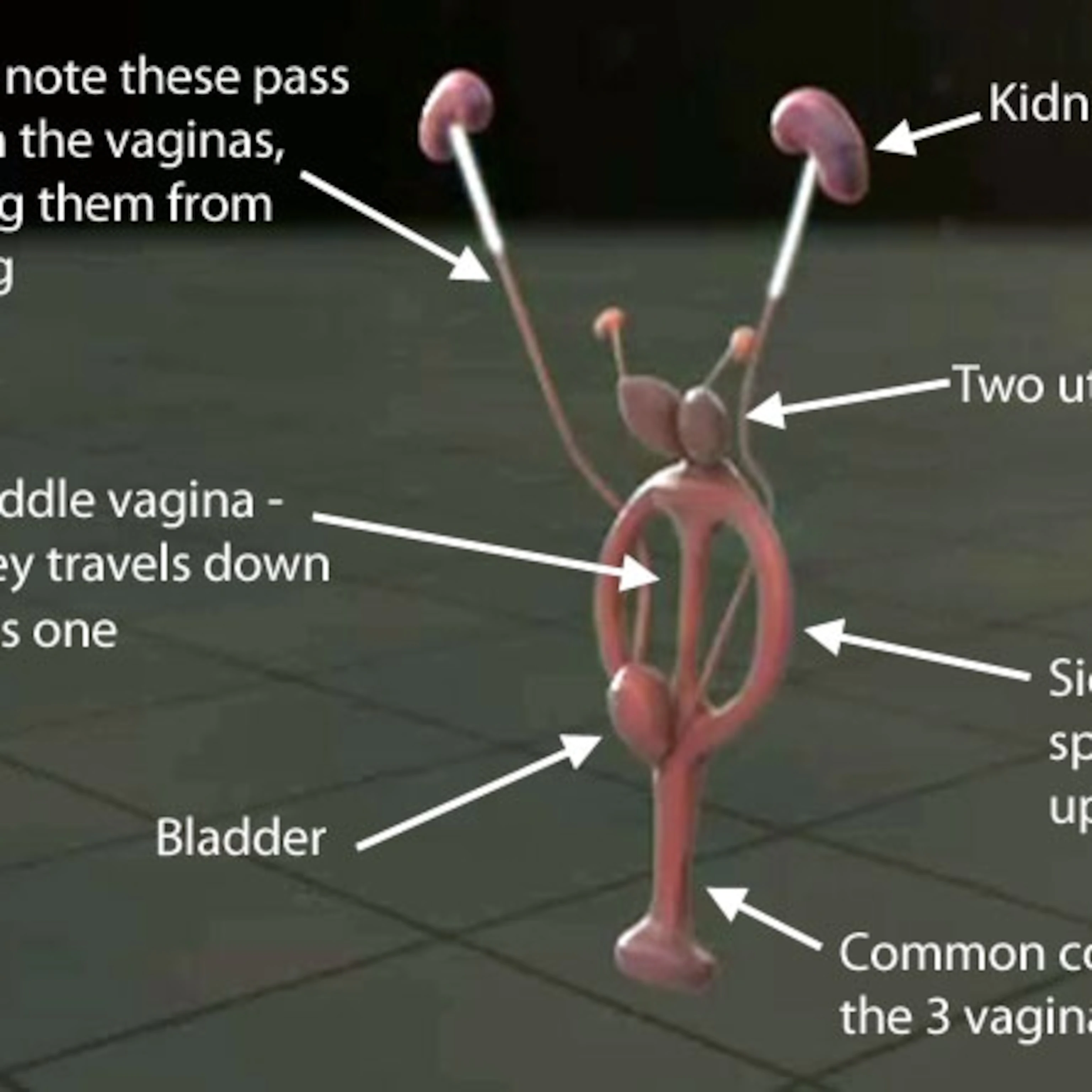 keniya girls small vagina picture details