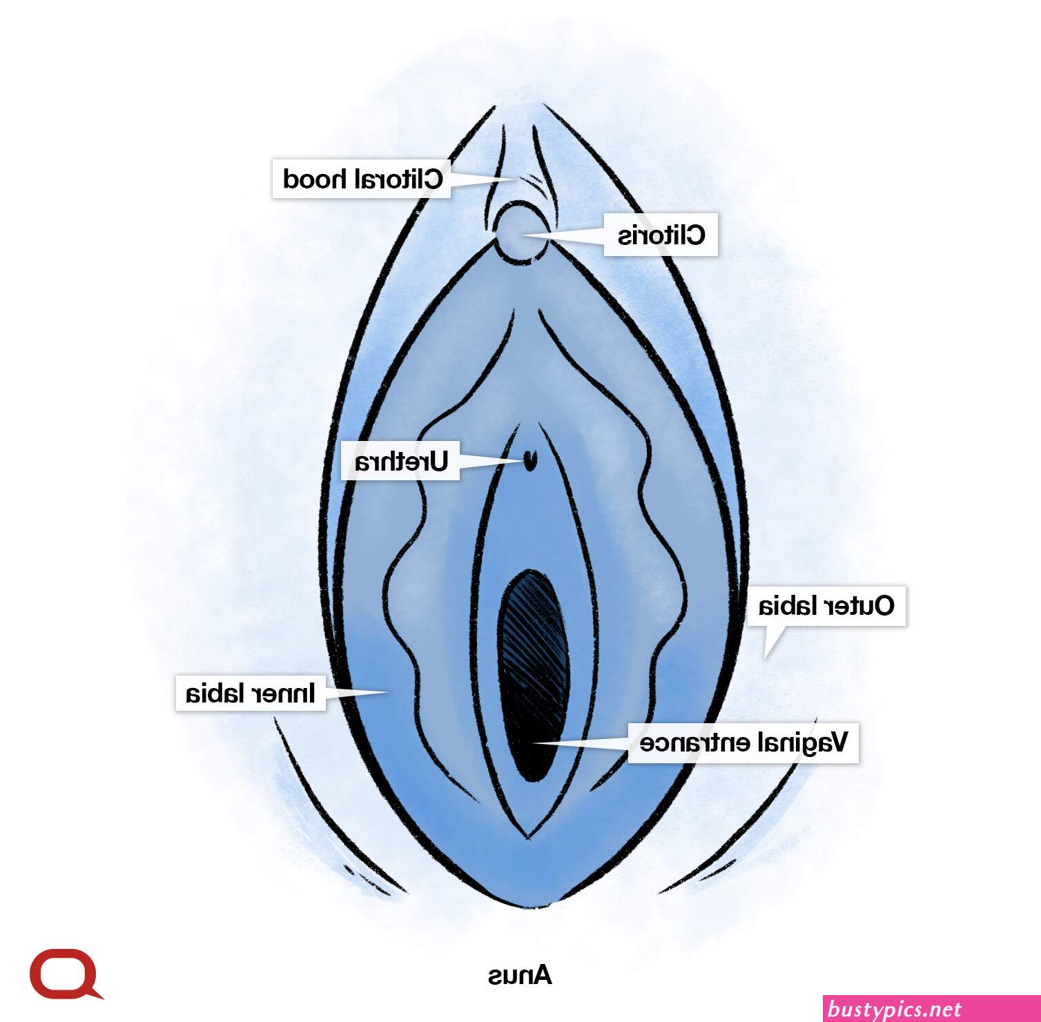 keniya girls small vagina picture details