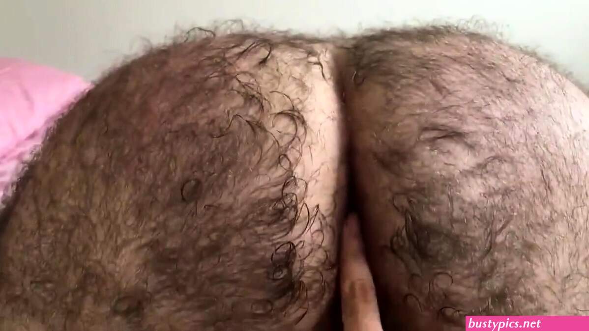 fotos dady bears with bic hairy cocks