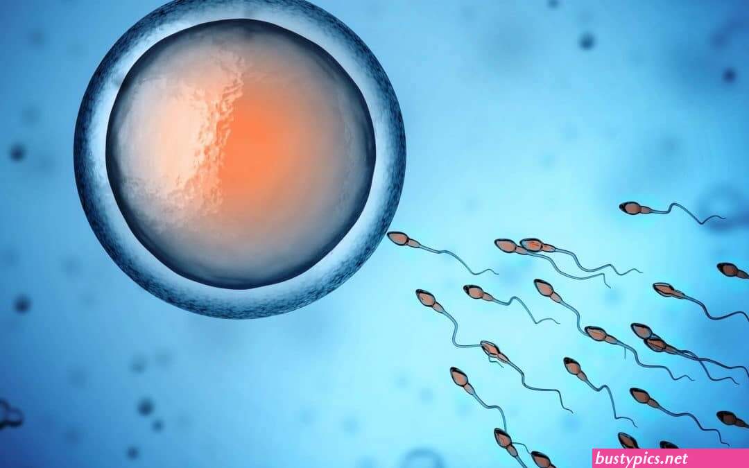 diligent sperm donors download 1080