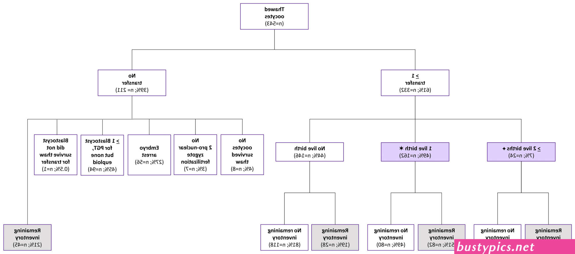diligent sperm donors download 1080