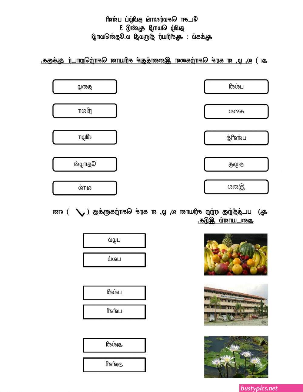 தம ழ வ ள ளக க ரல ஸ ச ஸ ப ட ட ஸ