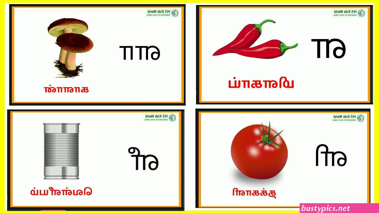 தம ழ வ ள ளக க ரல ஸ ச ஸ ப ட ட ஸ
