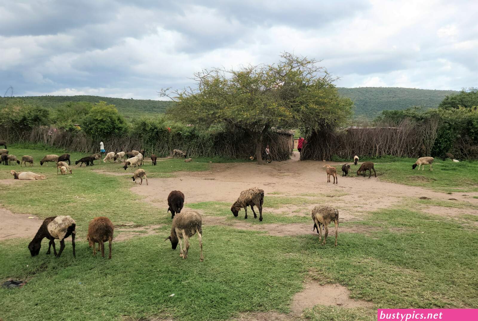 maasai village sex pics