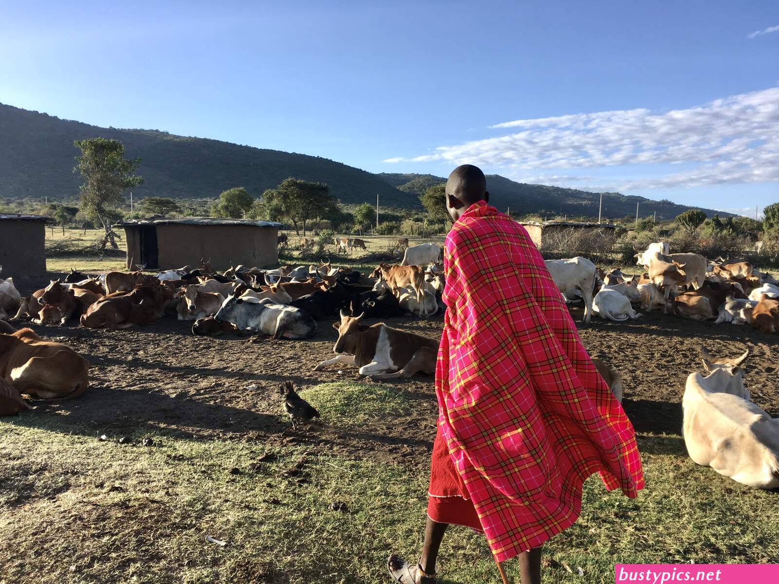 maasai village sex pics