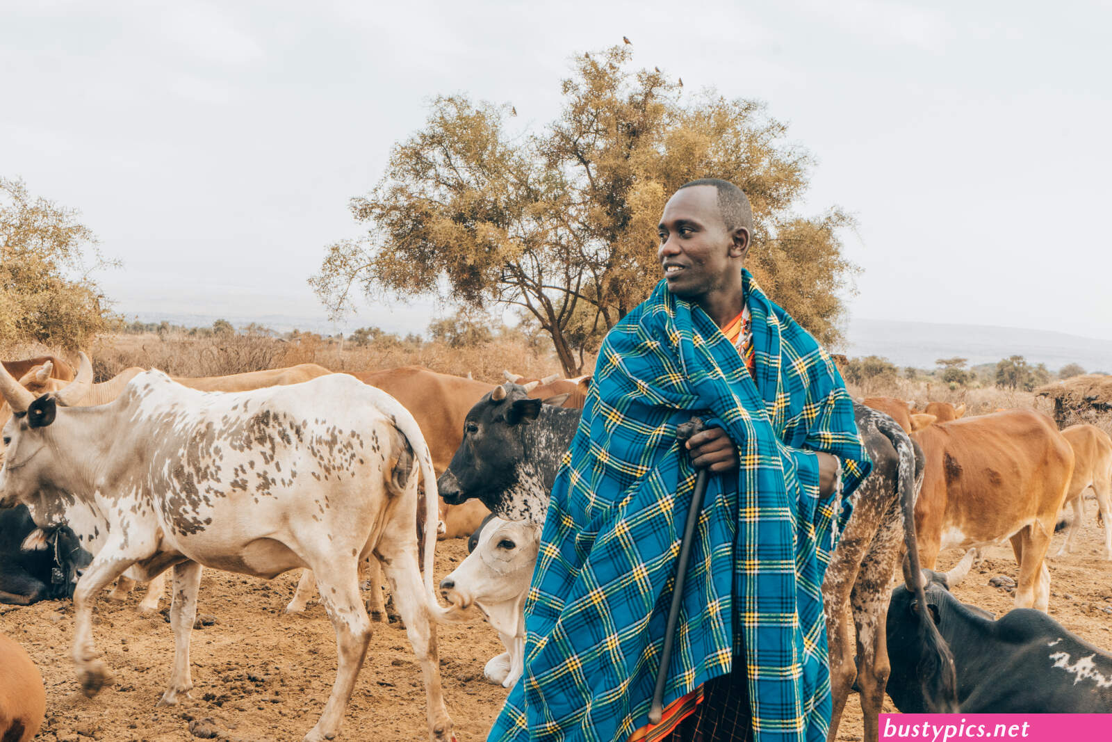 maasai village sex pics