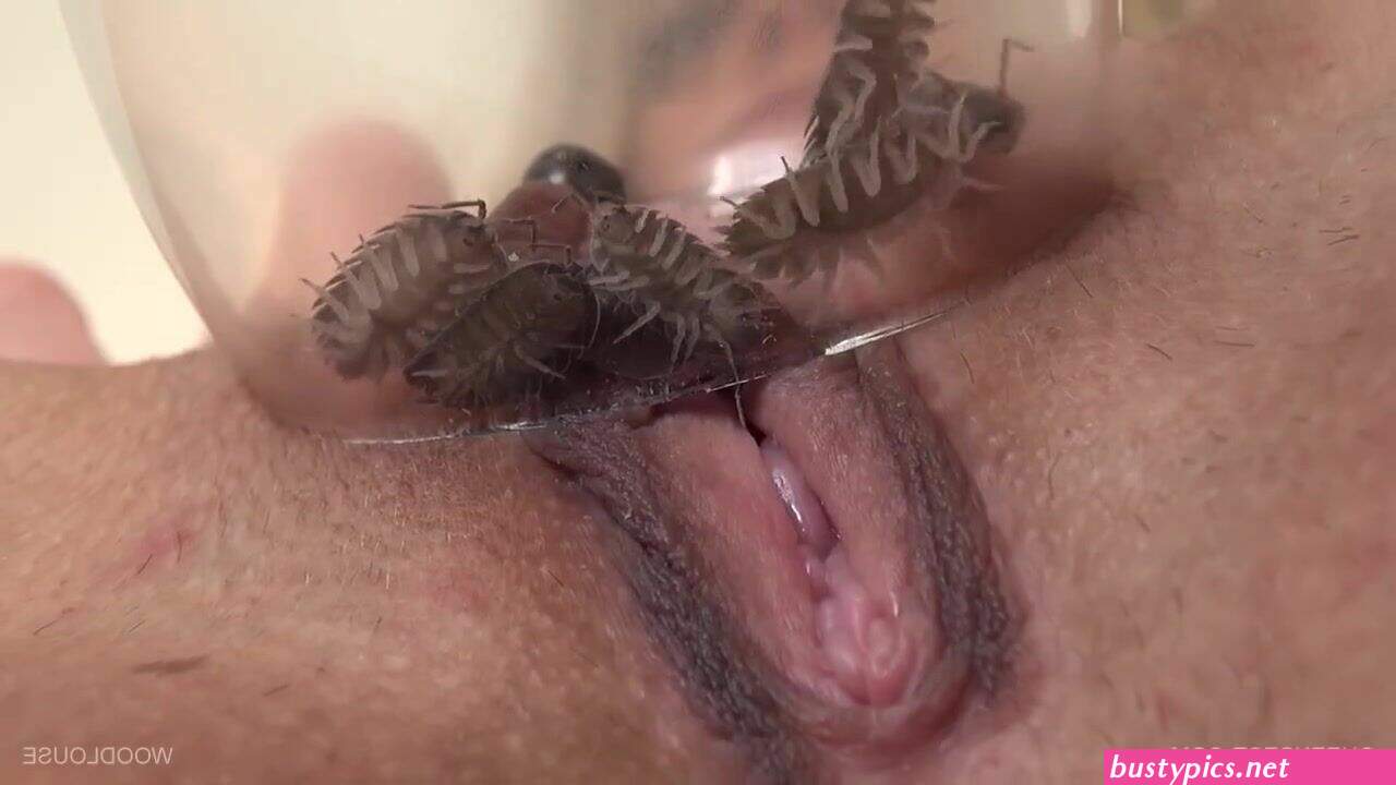 porn insect pussy