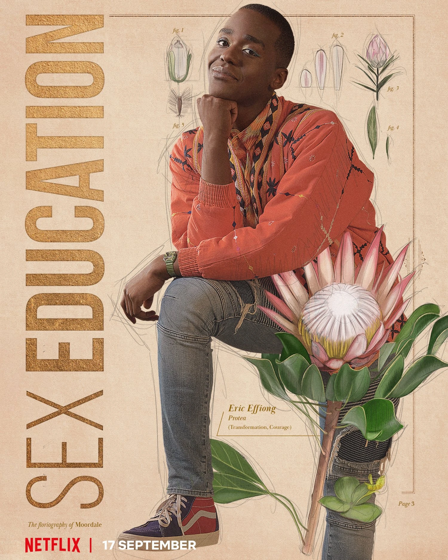 sex education season 1 to 3 in hi di 720p