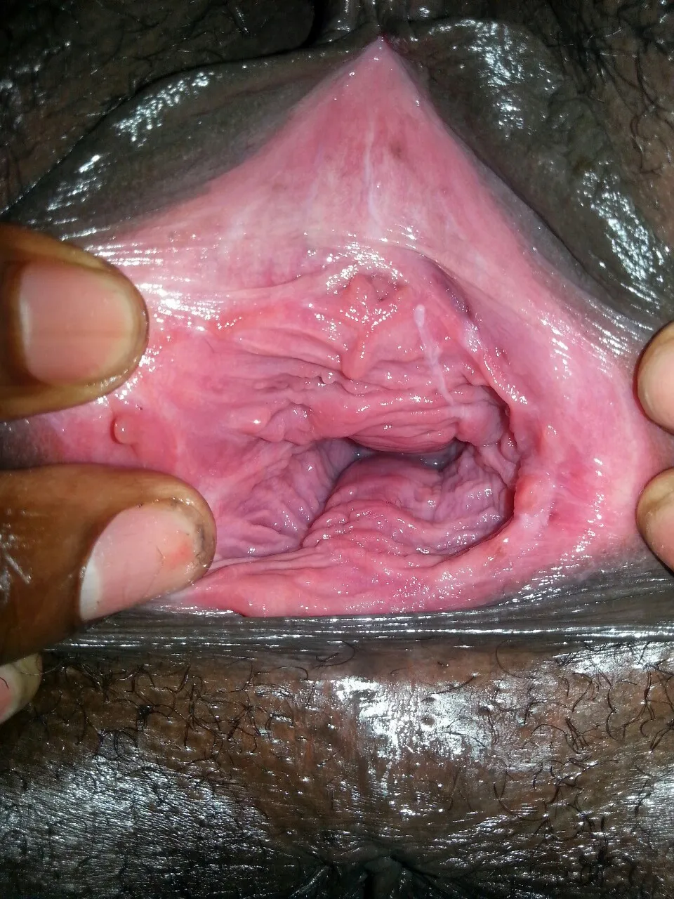 stars porn black pussy gaping