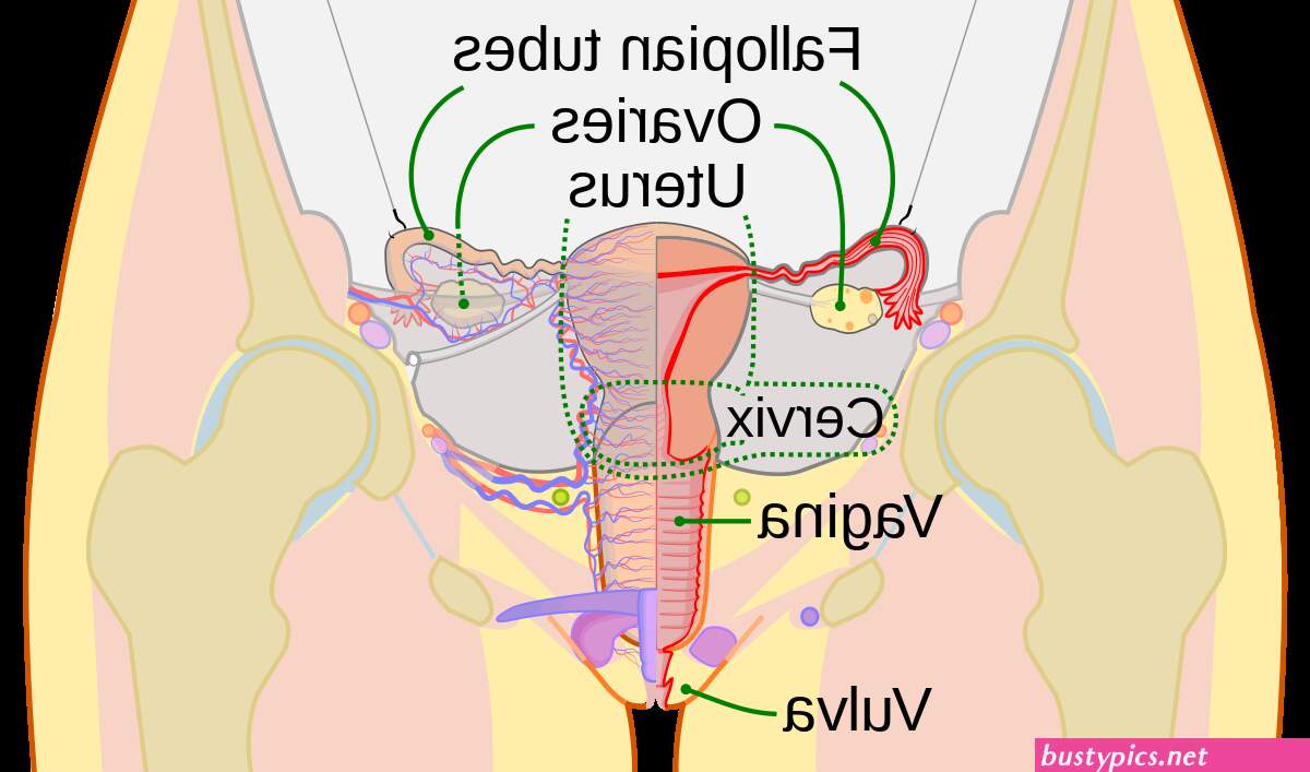 oldest open pussy hole pictur