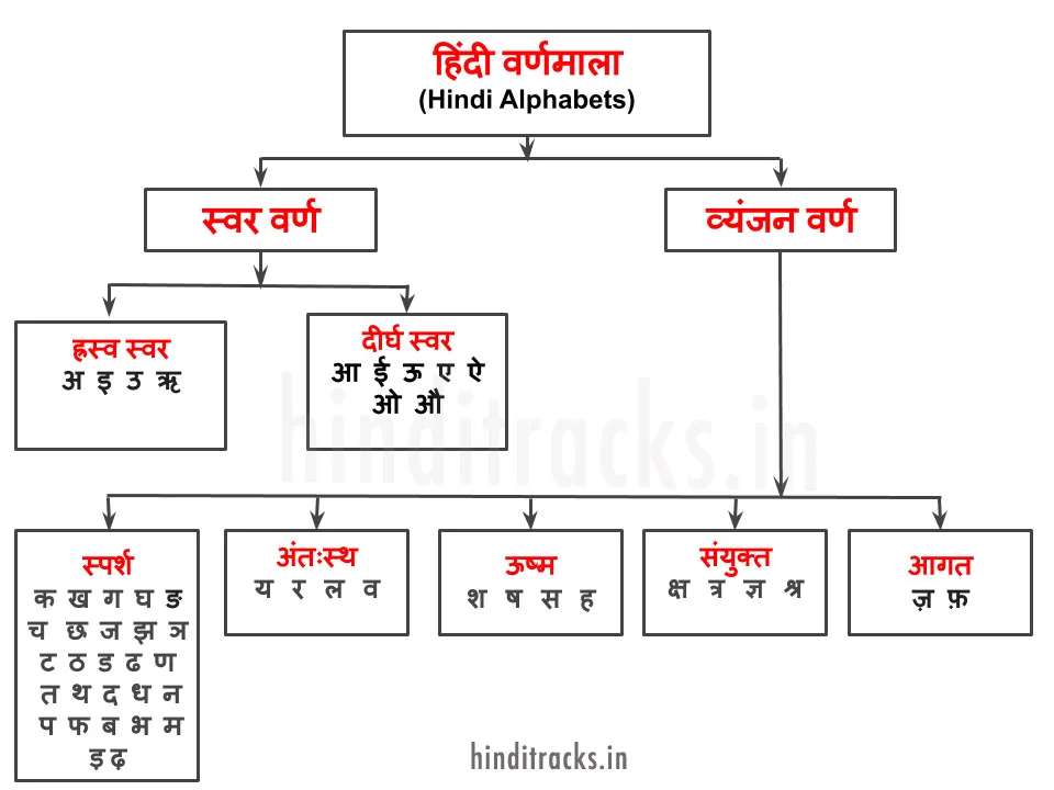 म ल आ ट क ब र व ल फ ट