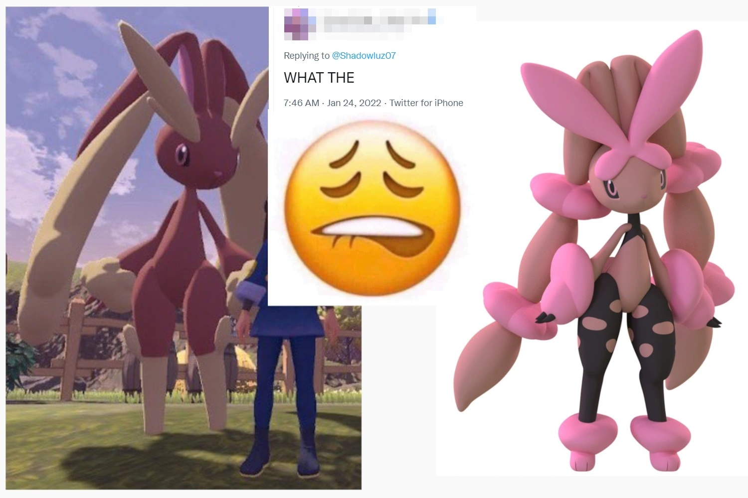 pokemon lopunny sex