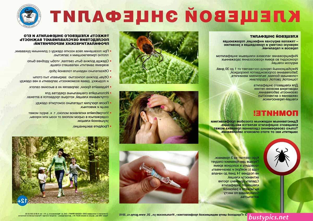 www sefa ru.com