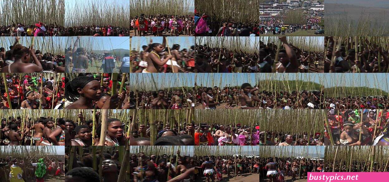 naked reed dance pussy