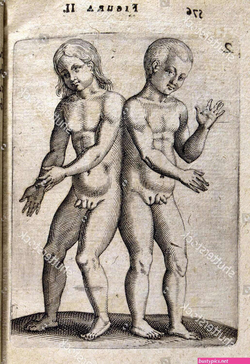female hermaphrodite sexy
